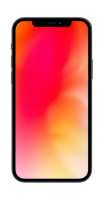 iPhone 12 Mini